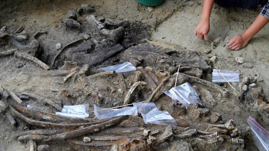 Herramientas de piedra encontradas junto al esqueleto de rinoceronte hallado en el yacimiento arqueológico de Kalinga, en la isla de Luzón de Filipinas.