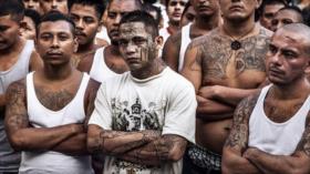 Las pandillas ya forman “una sociedad paralela” en Centroamérica