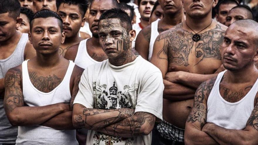 Las pandillas criminales, llamadas “maras”, en Centroamérica.