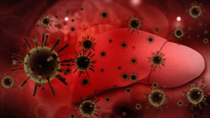Descubren evidencia más antigua de hepatitis B en ADN humano