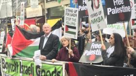 Manifestación multitudinaria en Londres en apoyo a los palestinos