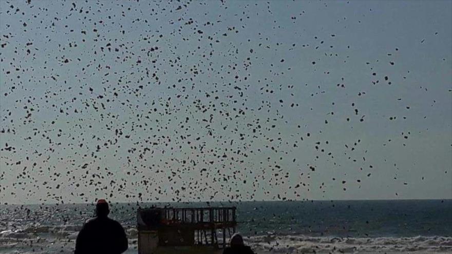Foto muestra la caída de los panfletos israelíes sobre las zonas residenciales en la Franja de Gaza, 14 de mayo de 2018.