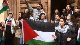 Chile condena masacre de palestinos en la Franja de Gaza