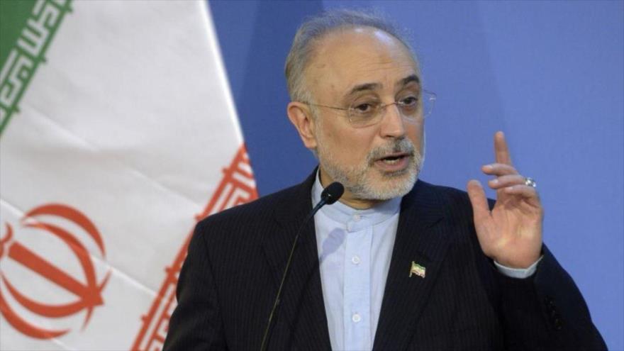 El jefe de la Organización de Energía Atómica de Irán (OEAI), Ali Akbar Salehi.