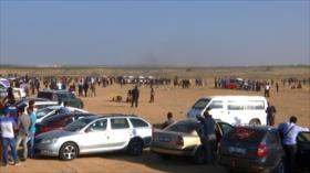 Las protestas aumentan día a día en Palestina