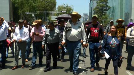 Maestros de la CNTE de México vs. Reforma Laboral 