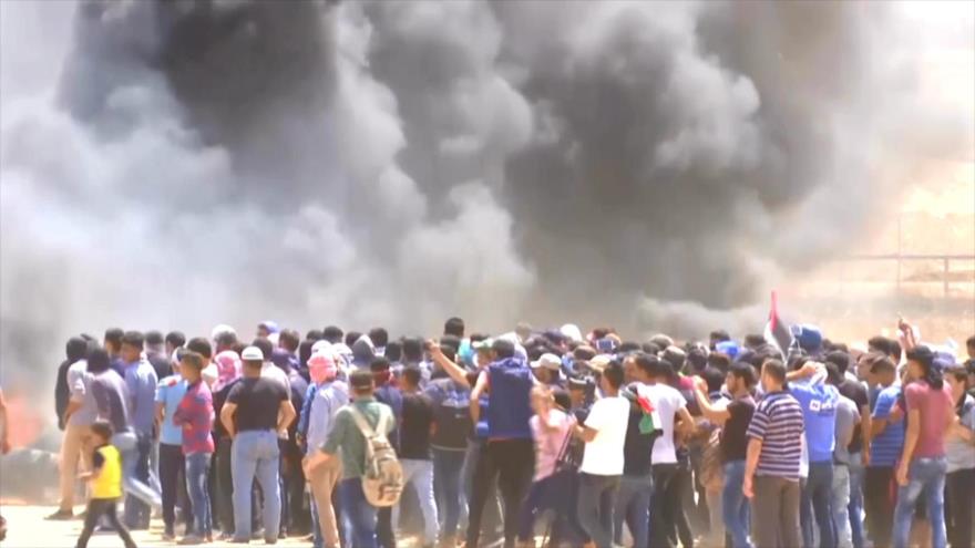 Organizaciones sociales hondureñas apoyan lucha palestina