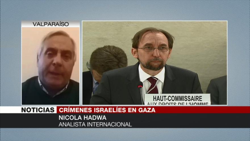 Nicola Hadwa: Israel es el régimen más criminal del mundo