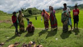 Amnistía Internacional denuncia masacre de hindúes en Myanmar