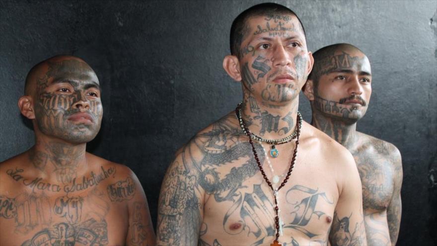 Trump sostiene que miembros de la pandilla MS-13 son ‘animales’