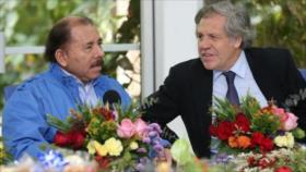 Nicaragua acuerda con OEA calendario para reforma electoral 