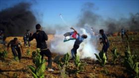 Palestinos marcharán en Gaza vestidos de víctimas de campos nazis