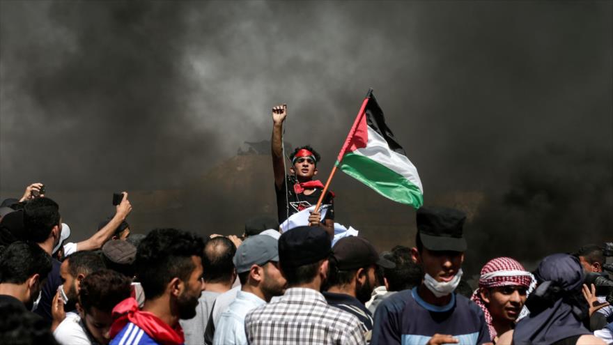 Un joven palestino sostiene una bandera nacional de Palestina en el este de la Franja de Gaza, 8 de junio de 2018.