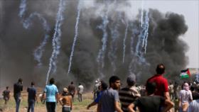 Crean conflictos en la zona para enterrar la causa palestina