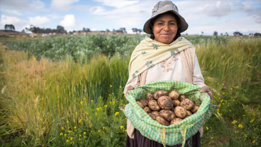 Una campesina boliviana.