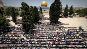 Irán Hoy: La solución de Irán para la crisis palestina