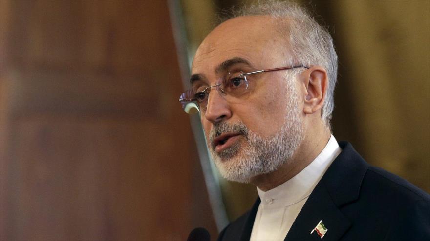 El jefe de la Organización de Energía Atómica de Irán (OEAI), Ali Akbar Salehi.