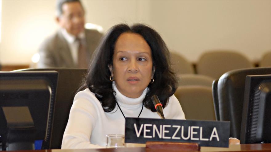 La representante interina de Venezuela en el Consejo Permanente de la Organización de los Estados Americanos (OEA), Carmen Luisa Velázquez.