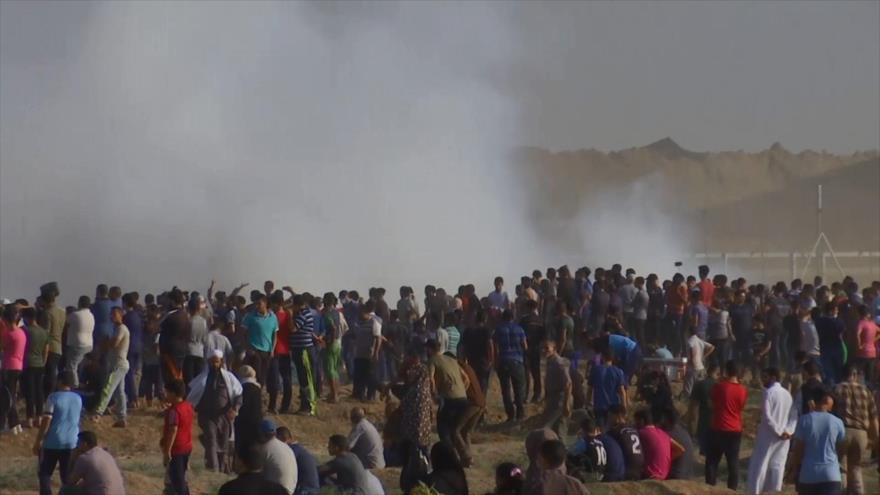 Palestinos no se rendirán hasta liberación total de su territorio