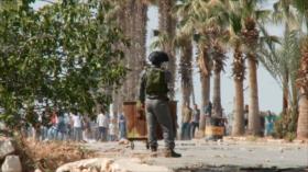 Histórica declaración en Chile de ciudad libre del apartheid israelí