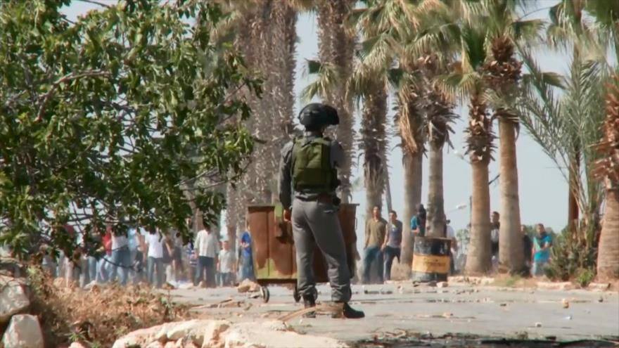 Histórica declaración en Chile de ciudad libre del apartheid israelí