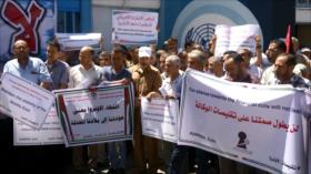 Palestinos protestan por recortes en la UNRWA