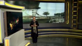 Brecha Económica: Millones en el mundo no tienen acceso a la electricidad, 600 millones están en África subsahariana