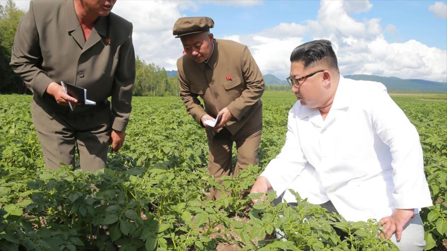 Kim desaíra a Pompeo y prefiere visitar un campo de patatas | HISPANTV