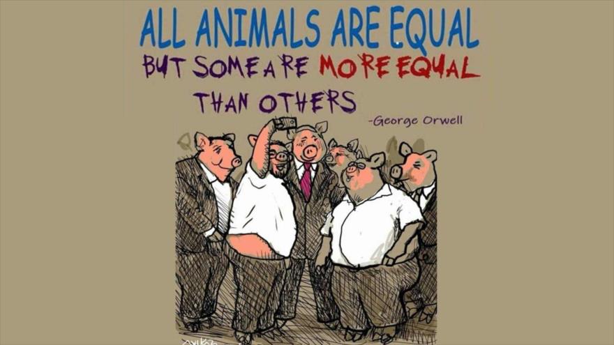 Caricatura de Avi Katz, dibujante de Jpost que se mofa del premier israelí, Benjamín Netanyahu, y de legisladores de Likud comparándolos con cerdos.