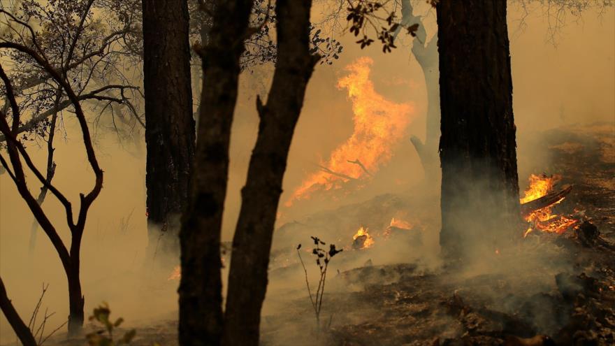 Incendio en California deja 5 muertos y 17 desaparecidos | HISPANTV