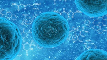 Nuevo virus podría eliminar a 900 millones de personas