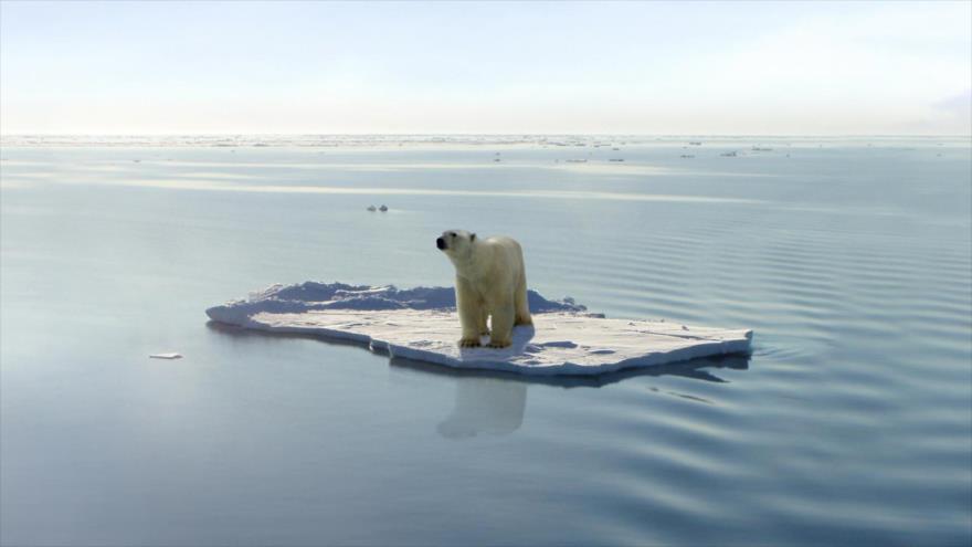 Calentamiento global causará cambios estacionales en el Ártico