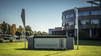 Multan a Monsanto con $290 millones por herbicidas cancerígenos