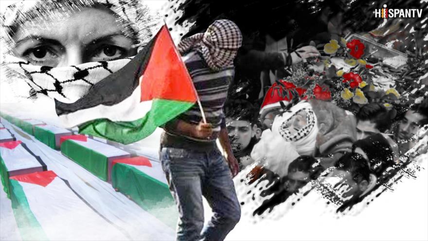 La Vida Bajo el Apartheid: Los cadáveres de los mártires palestinos en cementerios de números de Israel