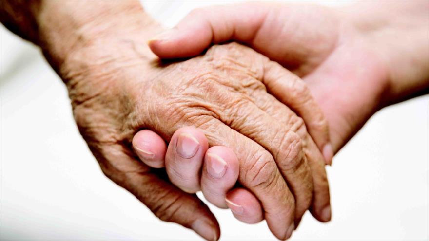 Expertos logran revertir el proceso de envejecimiento de células humanas.