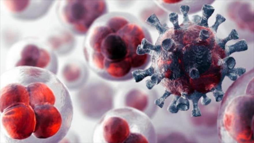 Hallan una terapia para tratar cánceres incurables con un farmaco | HISPANTV