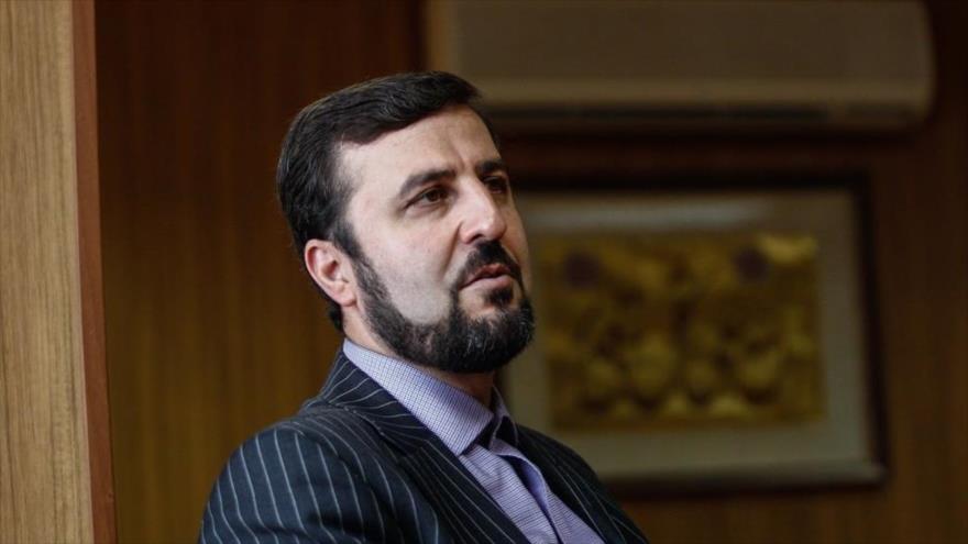 Kazem Qaribabadi, representante permanente de Irán ante las organizaciones internacionales asentadas en Viena (Austria).