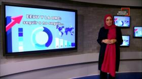 Brecha Económica: El TLCAN y los aranceles y las políticas de Trump afectan los empleos en EEUU y el crecimiento económico mundial