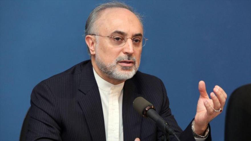 El jefe de la Organización de Energía Atómica de Irán (OEAI), Ali Akbar Salehi.
