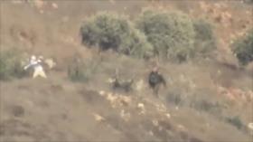 Vídeo: Colonos lanzan piedras contra aldea palestina ante soldados
