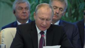 Putin alerta de una provocación química contra Damasco en Idlib