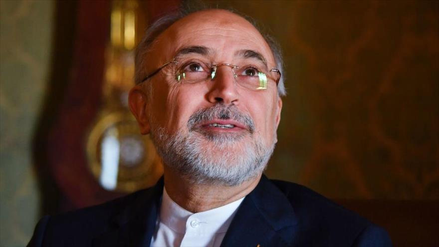 El presidente de la Organización de Energía Atómica de Irán (OEAI), Ali Akbar Salehi, en Roma (Italia), 10 de octubre de 2017 (Foto: AFP).