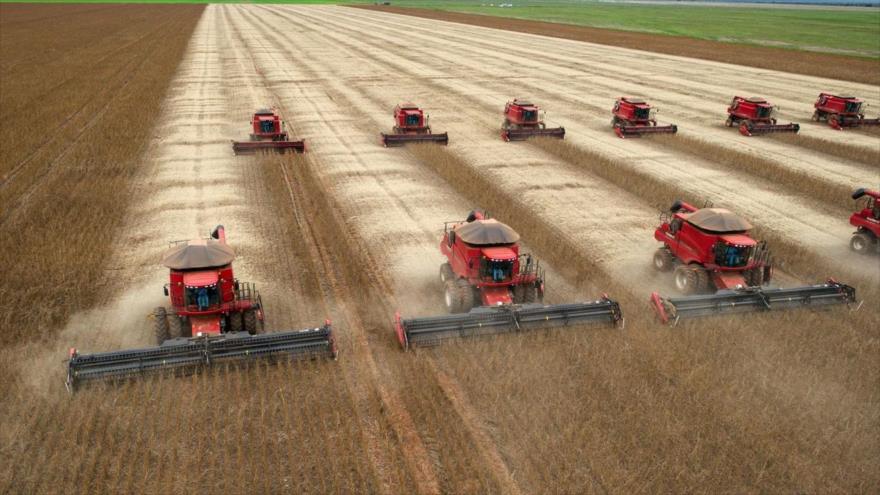 Cosecha de soja en un campo en Brasil.