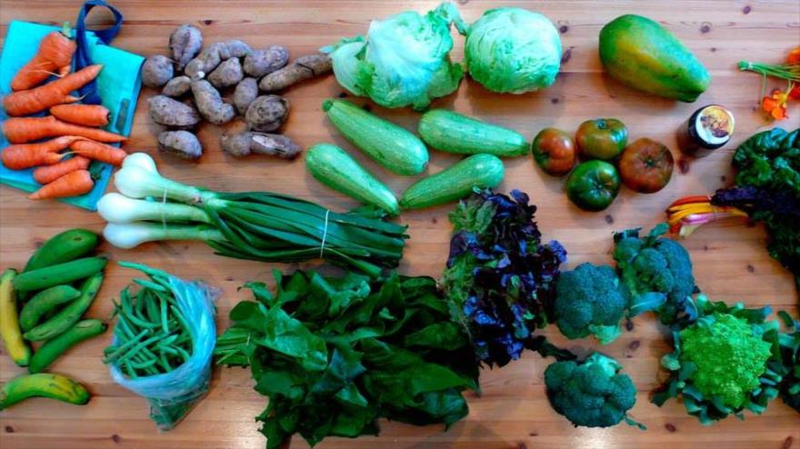 Algunos alimentos saludables que aportan las necesidades nutricionales de cada individuo.