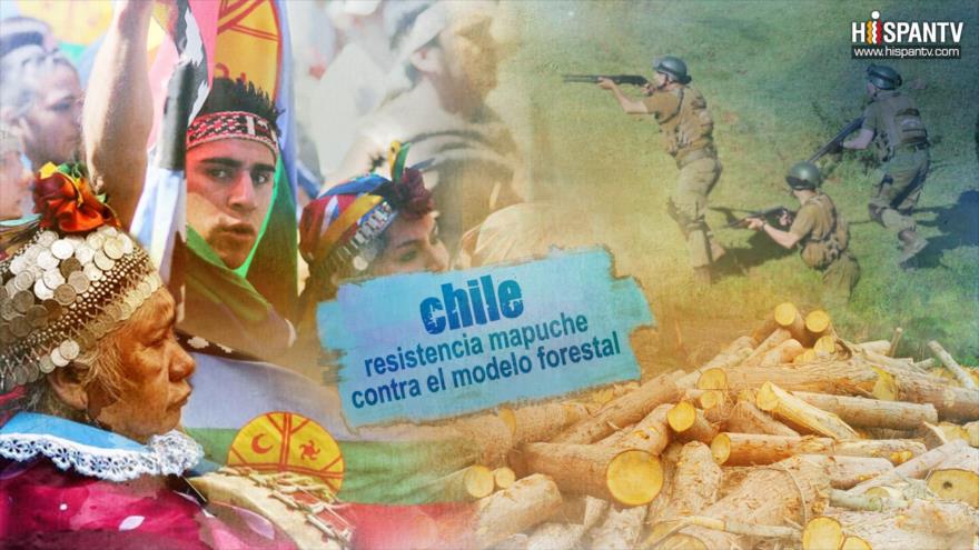 Esta es mi tierra - Chile: ¿Los mapuches son terroristas?