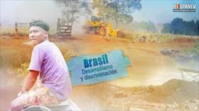 Esta es mi tierra - Brasil: Desarrollismo y discriminación
