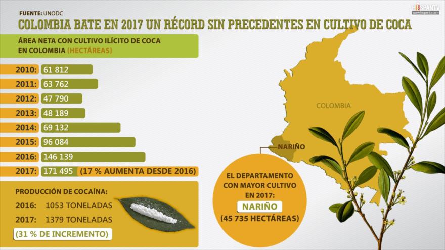 Colombia bate en 2017 un récord sin precedentes en cultivo de coca | HISPANTV