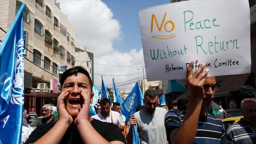 Manifestantes palestinos se manifiestan en contra de el recorte de los fondos de UNRWA por parte des Estados Unidos, 8 de septiembre de 2018. (Foto: AFP)