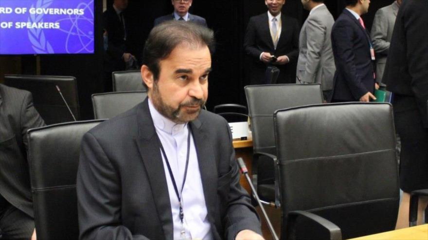 El director general para Asuntos de Paz y Seguridad Internacional de la Cancillería iraní, Reza Nayafi.