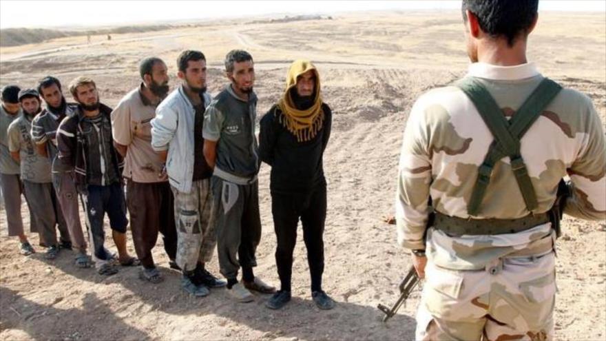 Integrantes del grupo terrorista EIIL (Daesh, en árabe) detenidos.